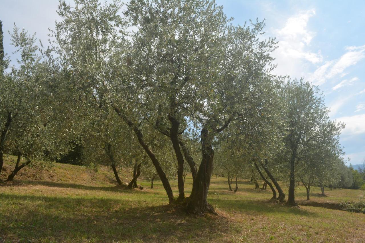 Podere Delle Fanciulle Pistoya Exterior foto